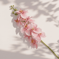 aeira™ Faux Moth Orchid Pink