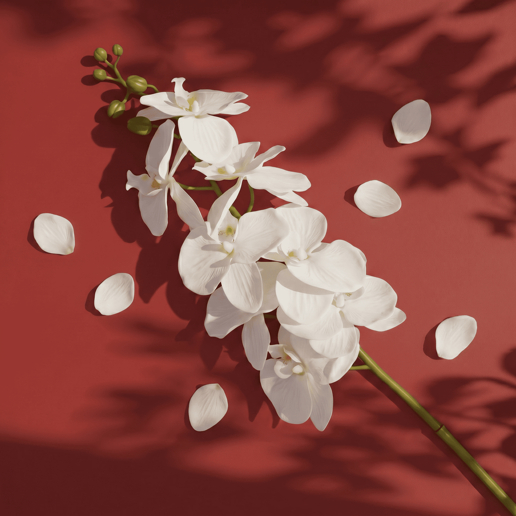 aeira™ Faux Moth Orchid White